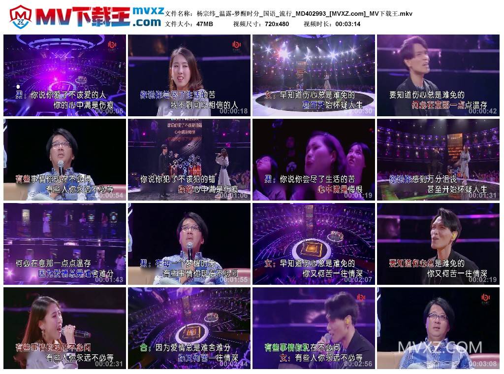 杨宗纬_温露-梦醒时分_国语_流行_MD402993